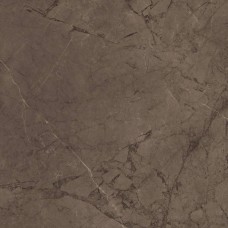 Керамогранит Ceramica Deseo Ess. Gales Brown 60,8x60,8 см