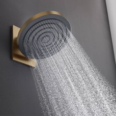 Верхний душ Hansgrohe Pulsify S 260 1jet 24140140 бронза матовый