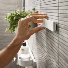 Крючок Hansgrohe WallStoris 27929700 2 крючка, белый матовый