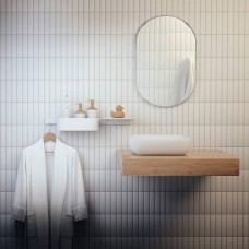 Гачок Hansgrohe WallStoris 27929700 2 гачки, білий матовий