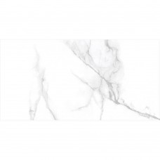 Керамограніт Almera Ceramica-2 Mn01 Carrara Matt 60x120 см
