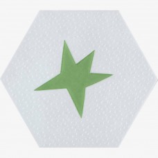 Керамограніт Pamesa Agatha 21 Estrella Verde 19,8x22,8 см