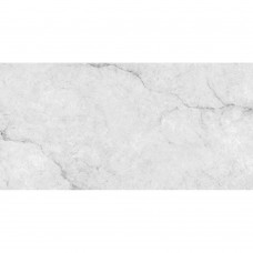 Керамогранит Almera Ceramica (Spain) Ec.Precious White 75х150 см