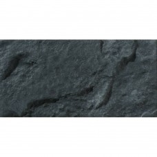 Керамогранит Almera Ceramica (Spain) Ec.Soldeu Black 12,5x25 см