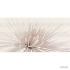 Плитка Opoczno Avangarde CENTRO FLOWER 11×600×297